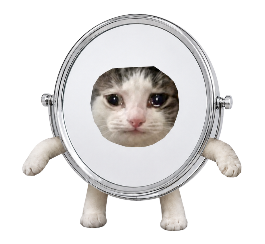 Mirror Cat